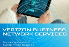 Verizon Business Network Services