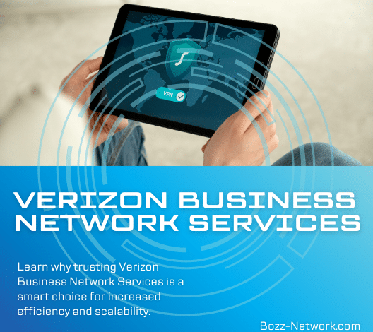 Verizon Business Network Services