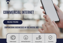 Commercial Internet